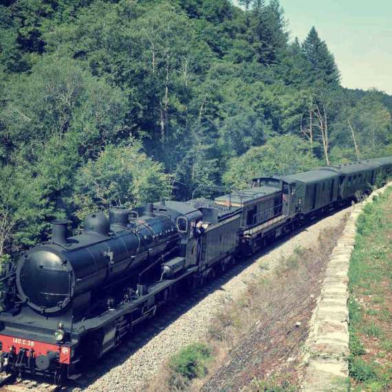 Be tempted by an outing on a steam train